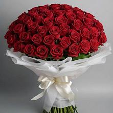 Букет 101 Красная роза Блэк Мэджик в Зорино