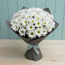 Букет цветов из:  Хризантемы в Зорино
