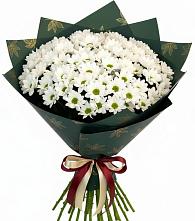 Букет цветов из:  Хризантемы в Зорино