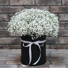 Цветочная композиция из Гипсофила в шляпной коробке #REPLACE_PRED# Зорино