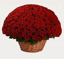 Премиум букет из: Розы в Зорино