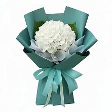Букет цветов из:  Гортензия в Зорино
